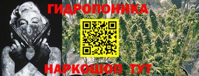 СК Кандалакша