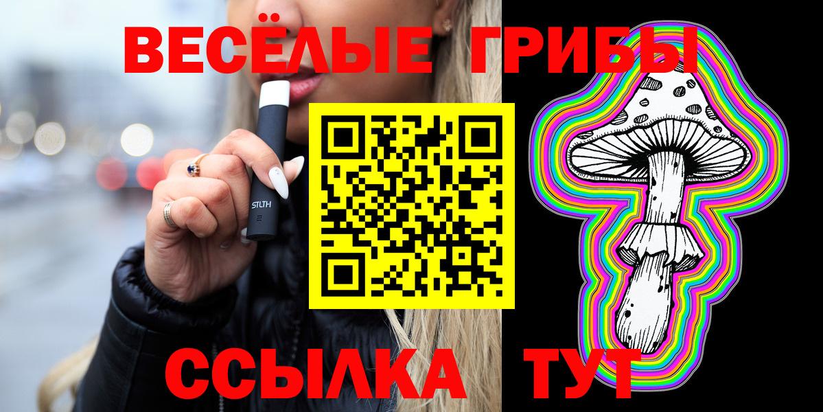 Кузнецк  купить  сайты  Вход с VPN  Псилоцибиновые грибы мицелий 